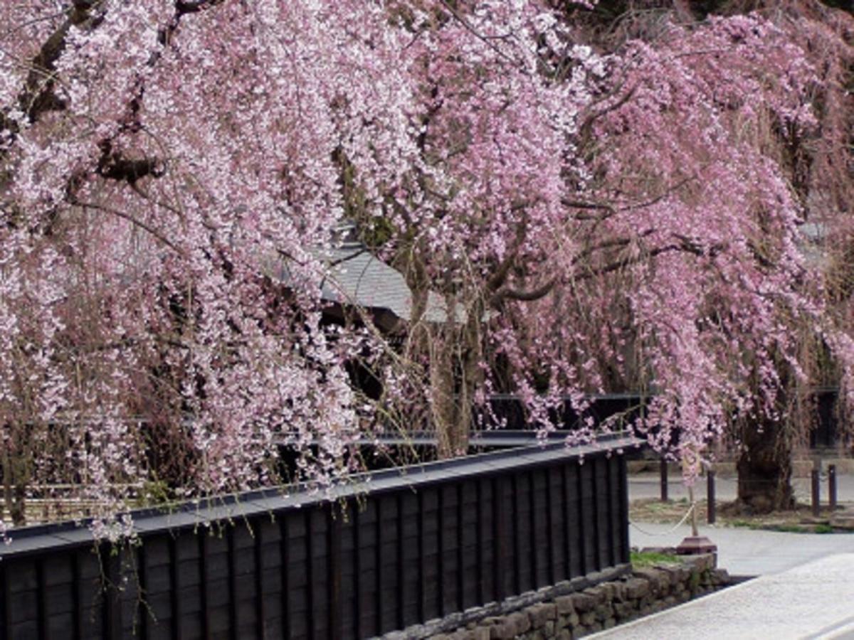 Tamachi Bukeyashiki Hotel - Vacation Stay 20163V Daisen  Εξωτερικό φωτογραφία